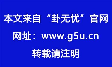 1982年属相|1982年属什么生肖